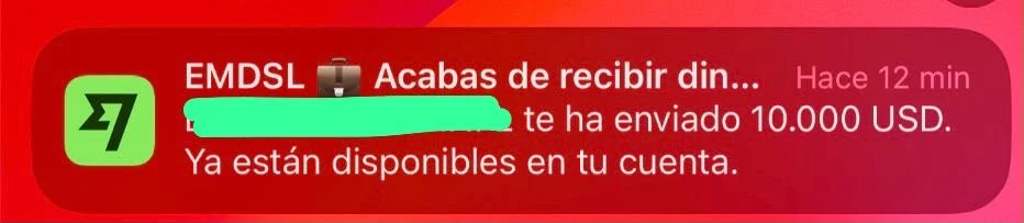 Captura de pagos de Rich Consulting